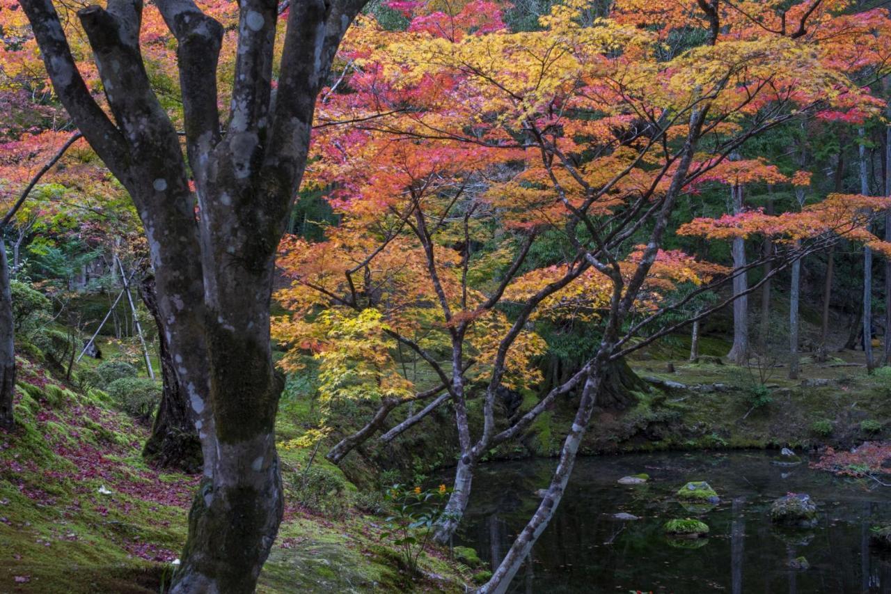 Hotel Arrows Arashiyama Kyoto Bagian luar foto